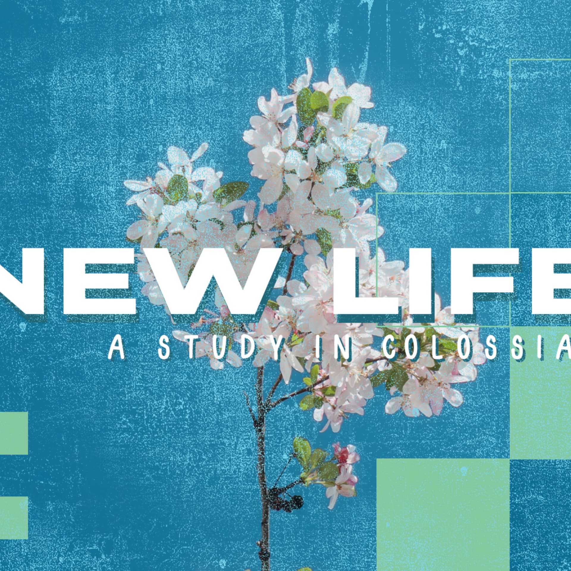 New Life EP2